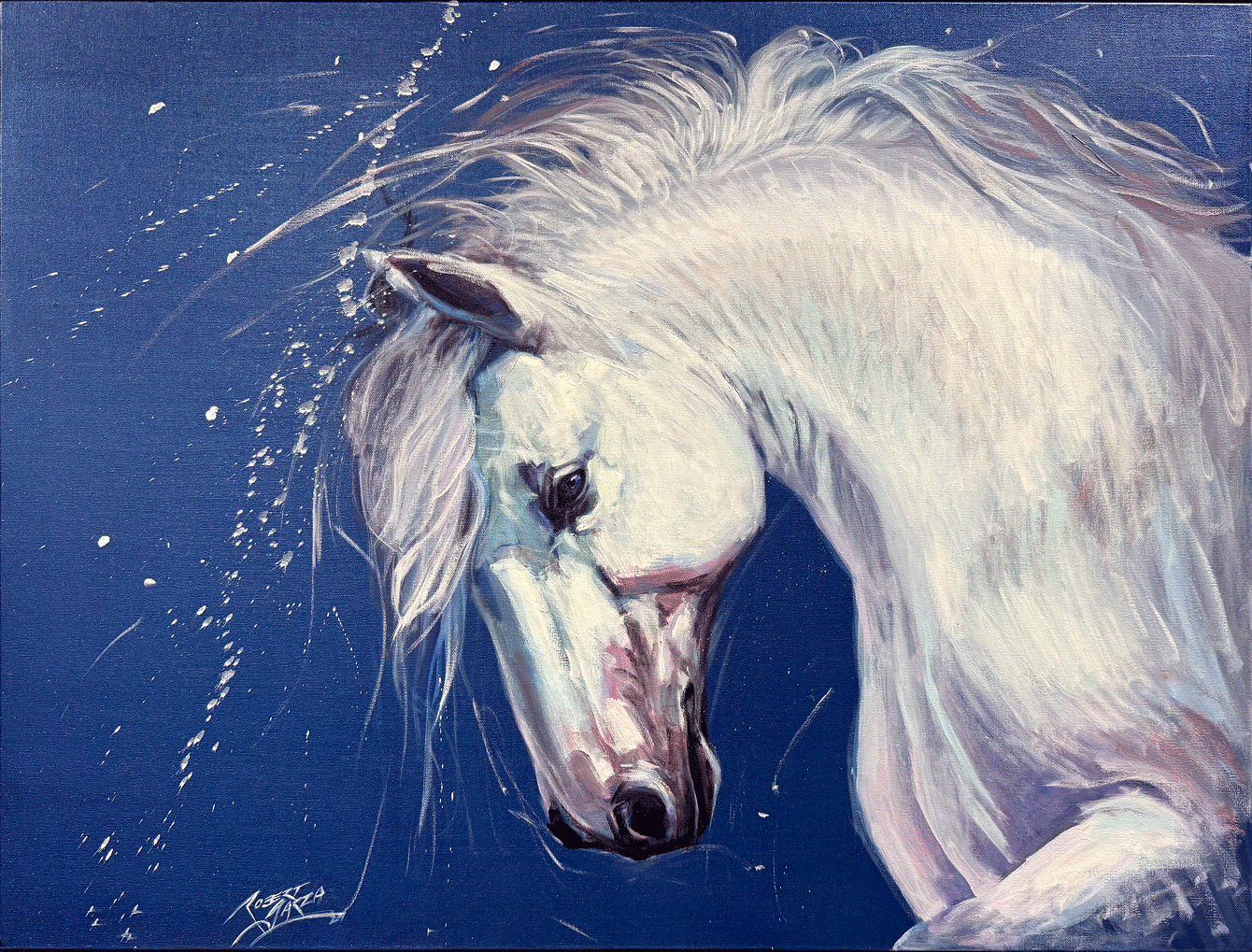 Starlight - Fine Art Print