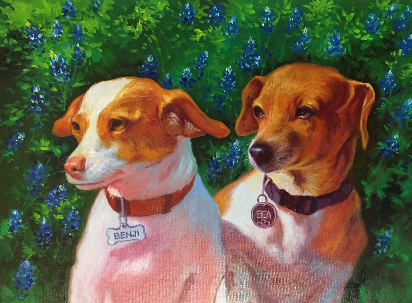 Oil Pet Portrait